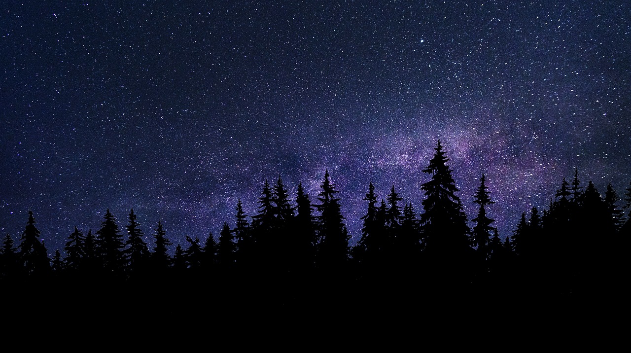 Are We Living in a Holographic Universe?